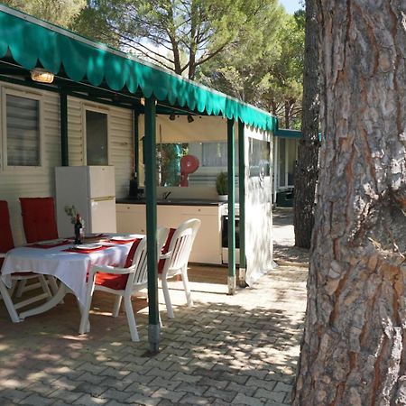 Chalets Met Buitenkeuken Op Camping Lei Suves - Joycasa Roquebrune-sur-Argens Exterior foto