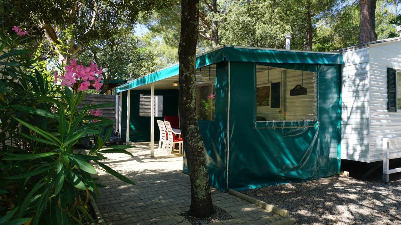 Chalets Met Buitenkeuken Op Camping Lei Suves - Joycasa Roquebrune-sur-Argens Exterior foto
