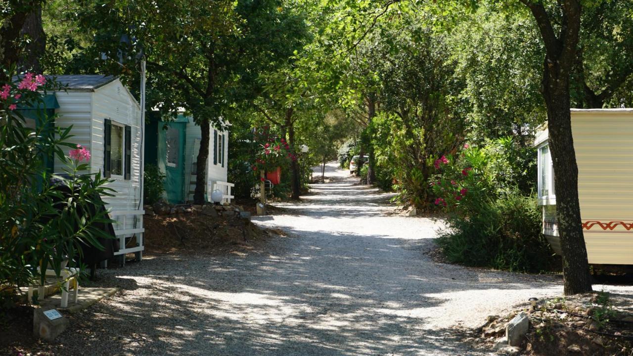 Chalets Met Buitenkeuken Op Camping Lei Suves - Joycasa Roquebrune-sur-Argens Exterior foto