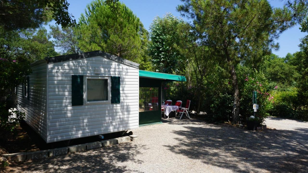 Chalets Met Buitenkeuken Op Camping Lei Suves - Joycasa Roquebrune-sur-Argens Exterior foto
