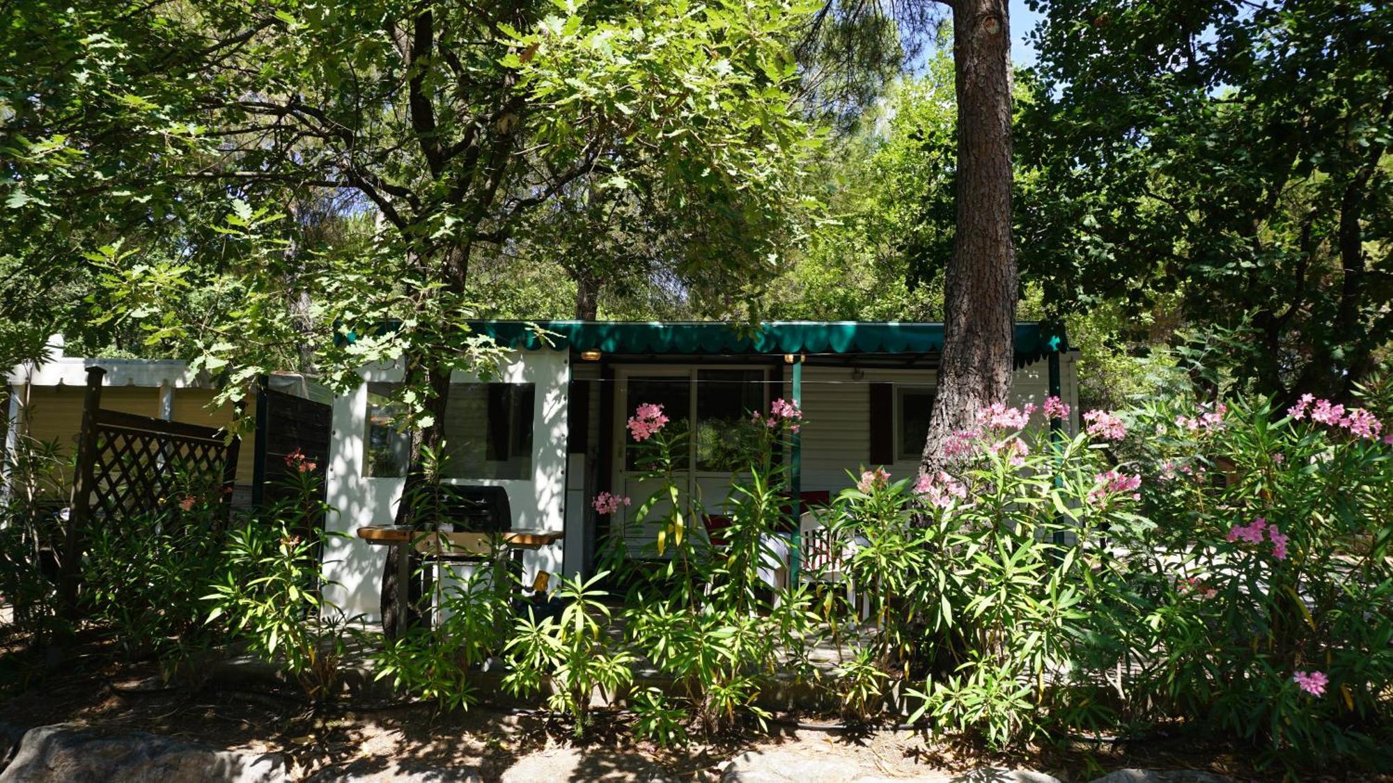 Chalets Met Buitenkeuken Op Camping Lei Suves - Joycasa Roquebrune-sur-Argens Habitación foto